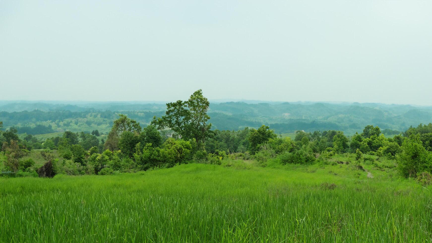 Hilltop grassy field, distant hazy hills, lush green landscape, peaceful nature scene, travel poster photo