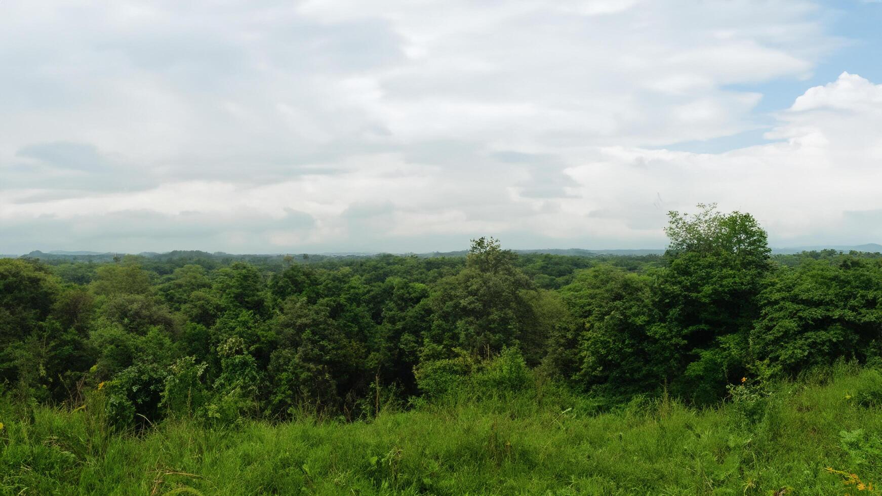 Hilltop forest panorama, cloudy sky, distant mountains, nature travel photo