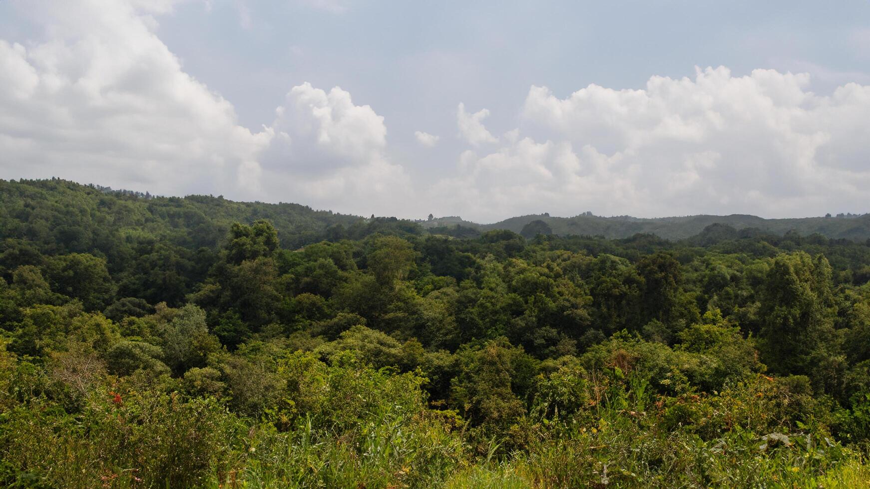 Lush green hillscape under cloudy sky, panoramic view photo