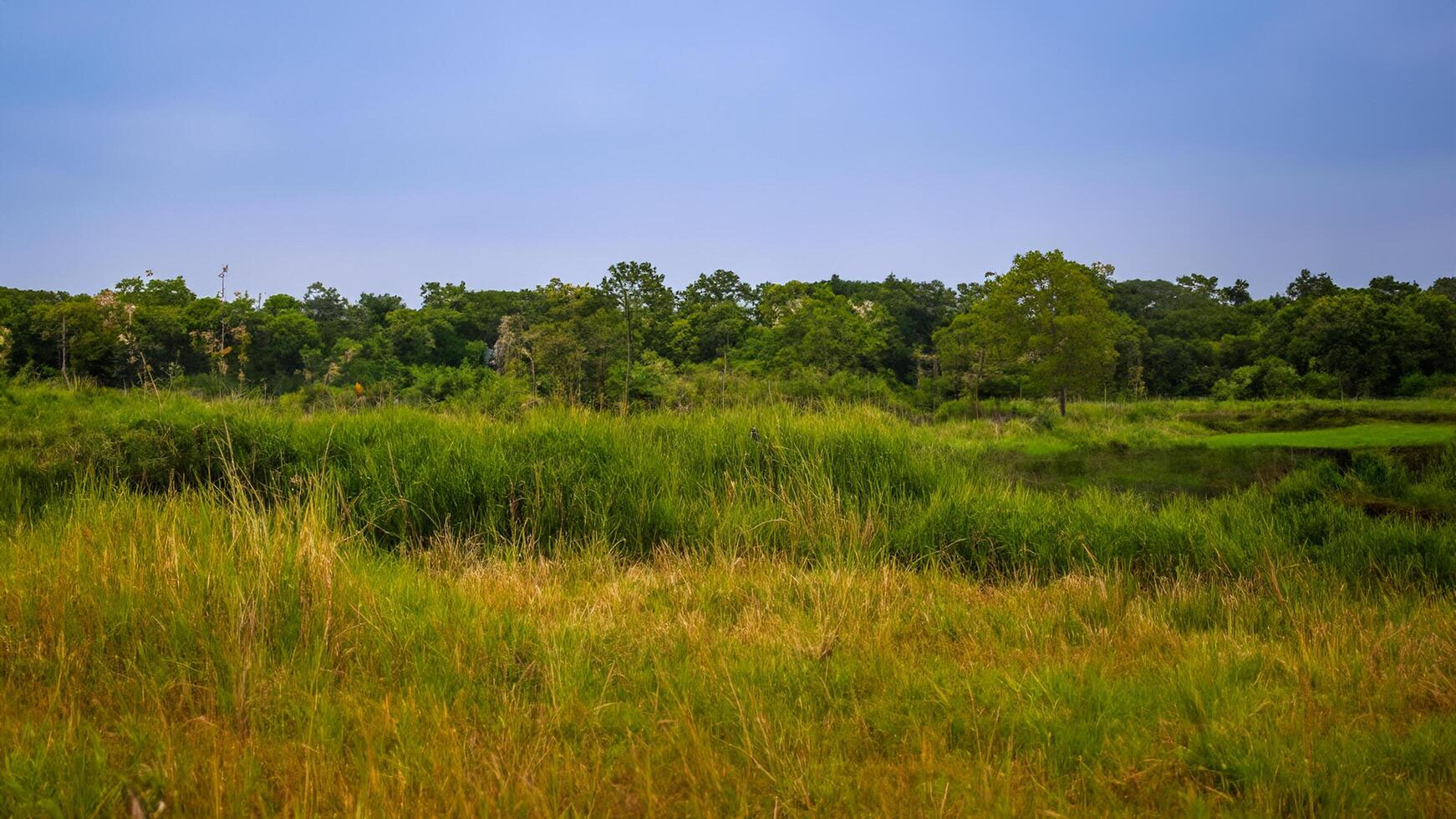Serene grassland, tranquil lake, distant trees, calm sky, nature scene photo