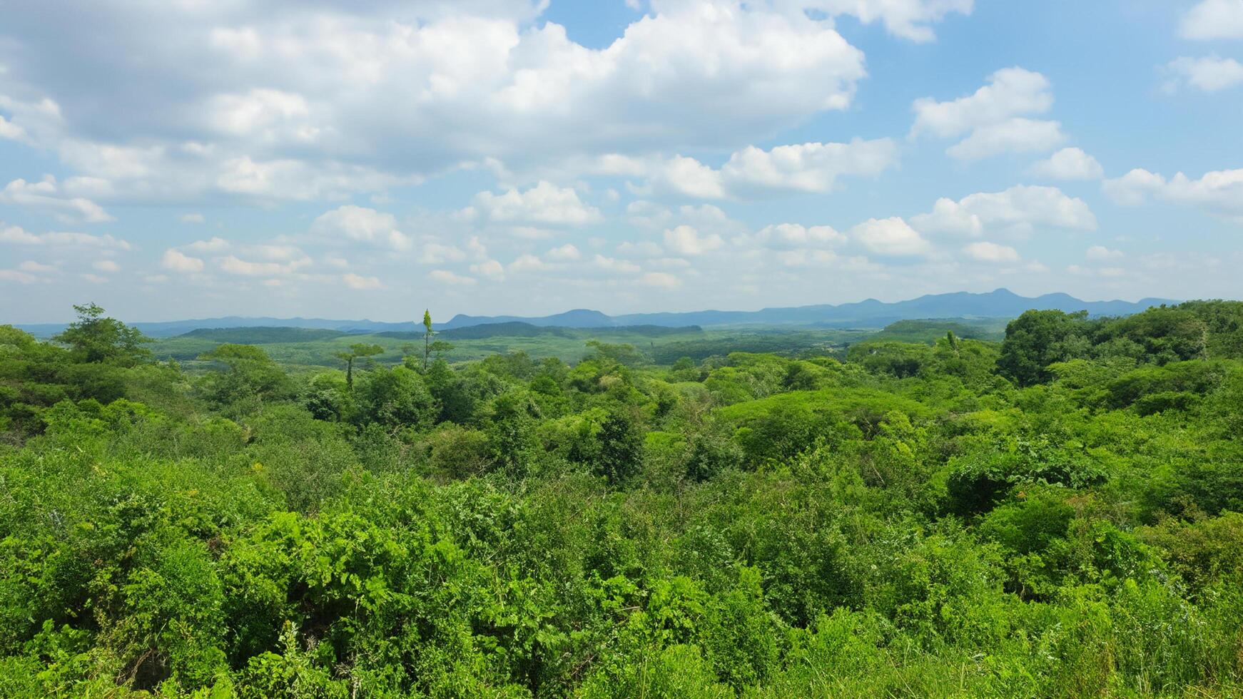 Lush green hilltop forest panorama, scenic view, cloudy sky photo