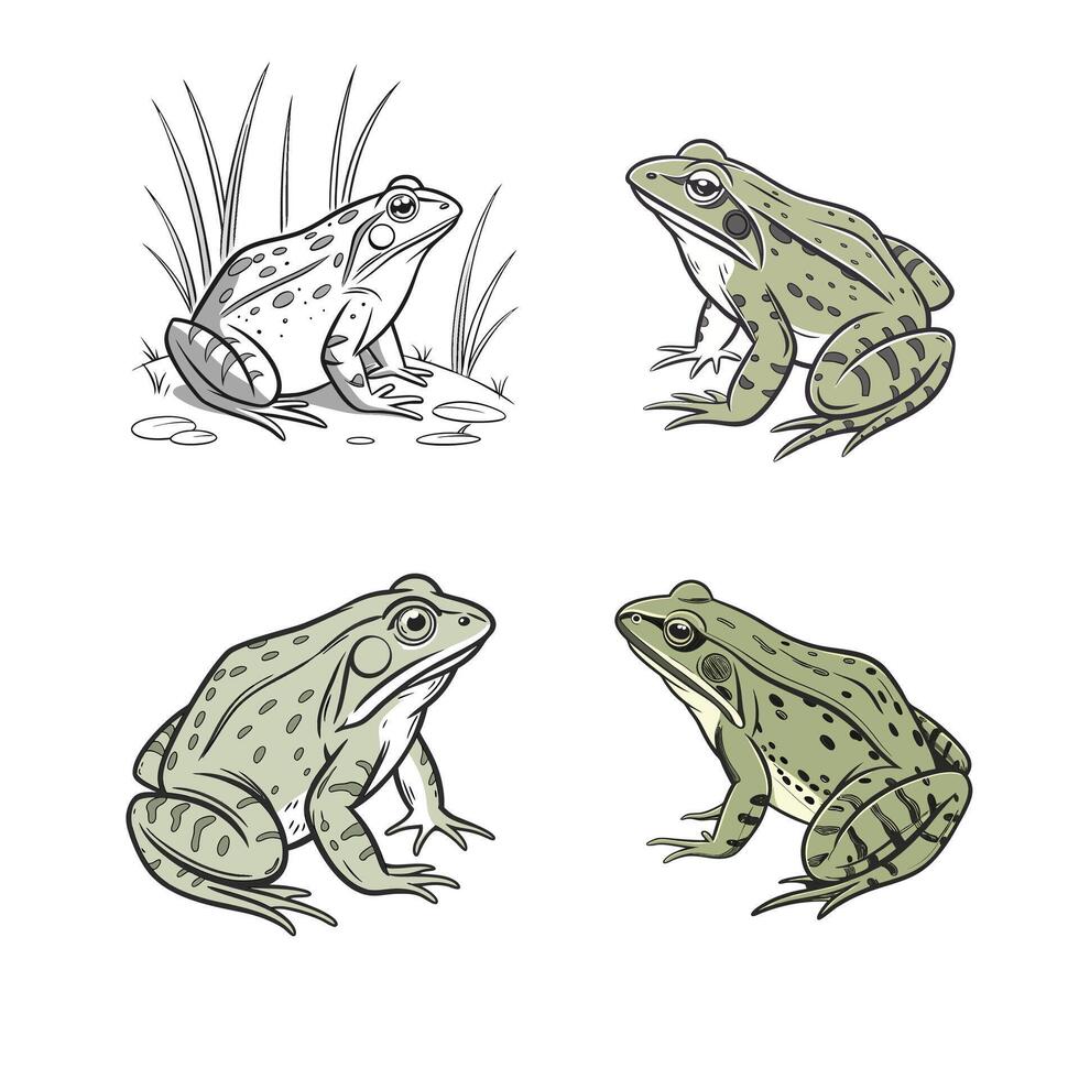 Set of Green Frog Illustrations vector