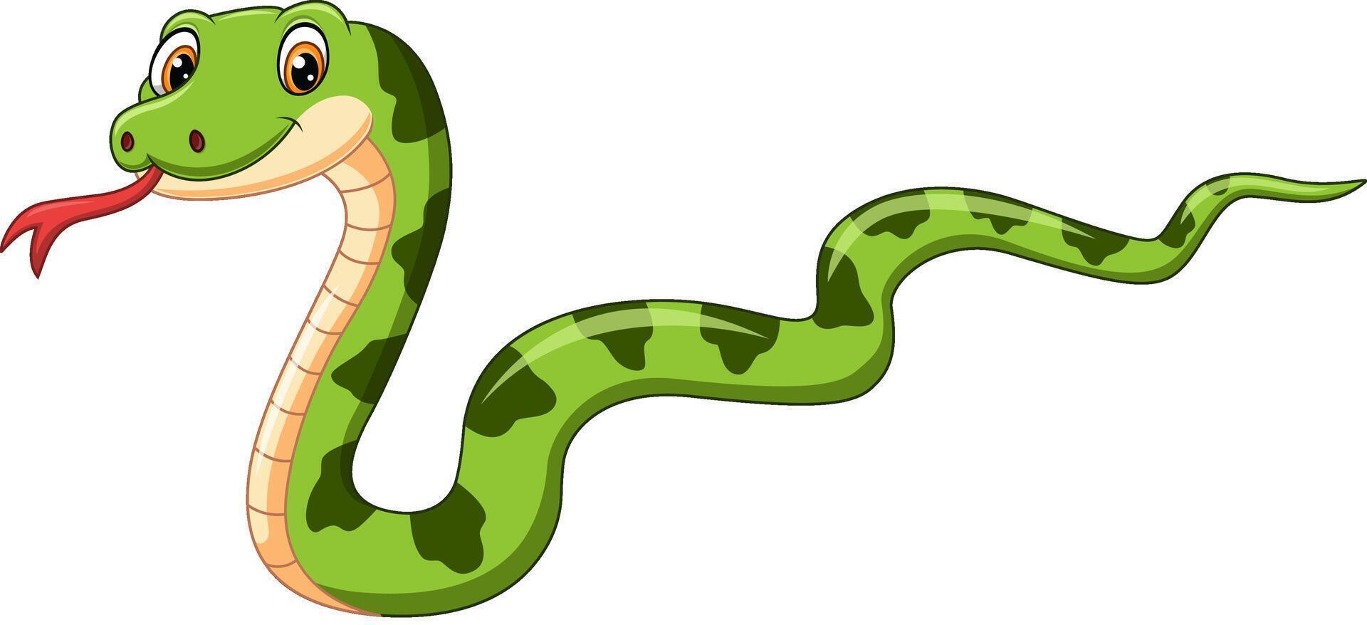 Cartoon a happy green snake vector