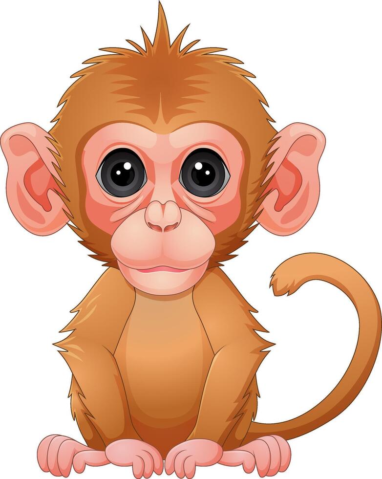 Cartoon illustration of baby macaque monkey vector