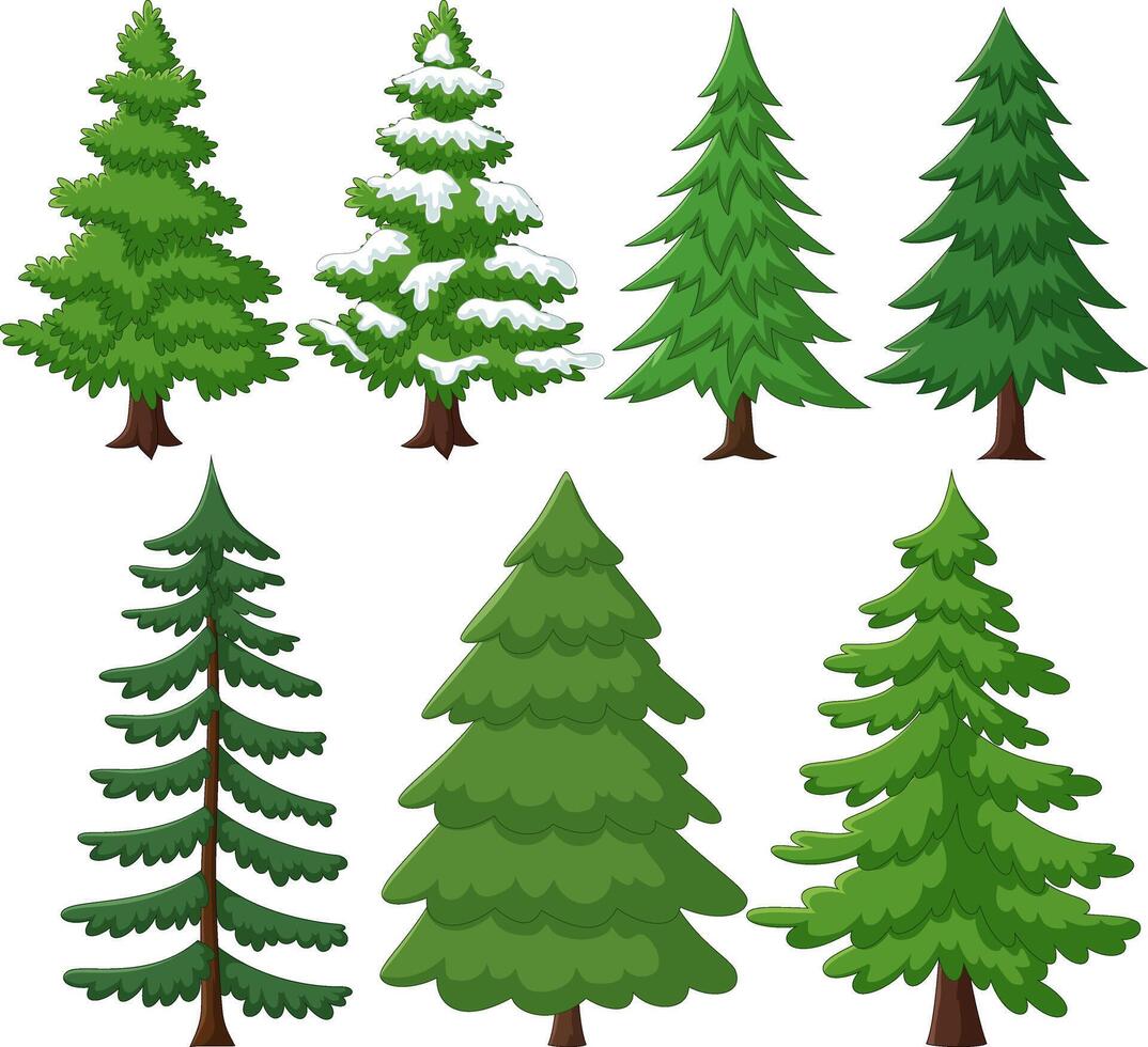 Illustration of collection of pine tree vector