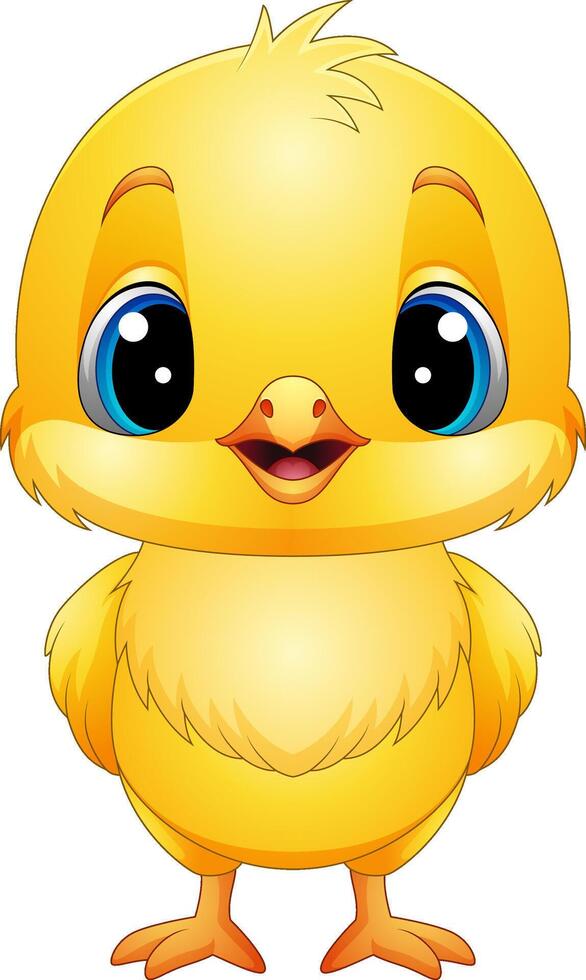Illustration of baby chicken vector
