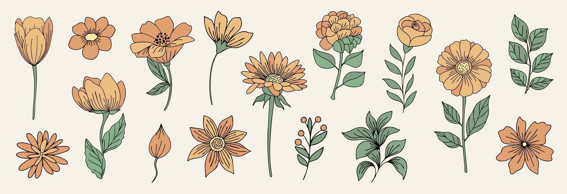 retro boho flower collection. vector