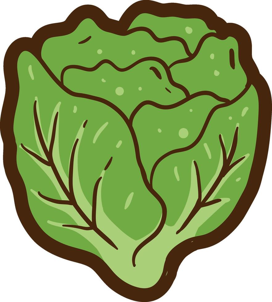 a cartoon lettuce icon on a white background vector