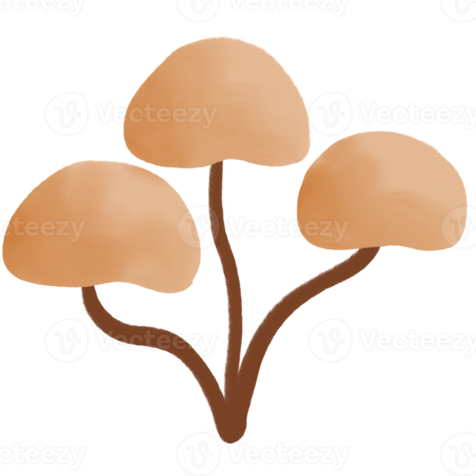 illustration of a mushroom png