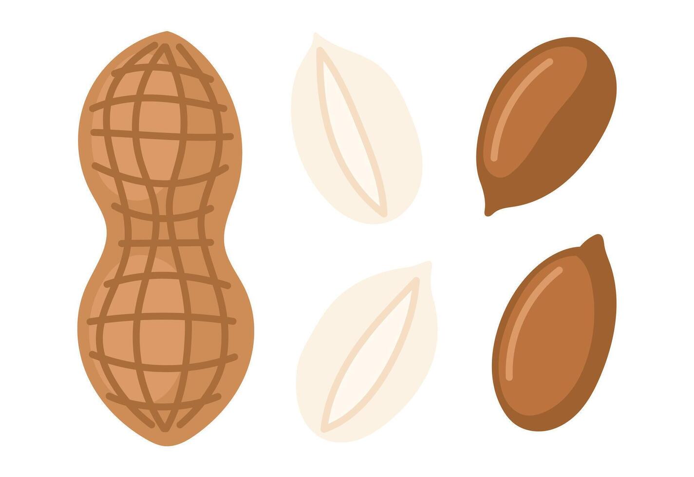 Peanuts. Peeled and unpeeled nuts. Nuts set. Peanut butter ingredient. Vegan food ingredients. illustration isolated on white background vector