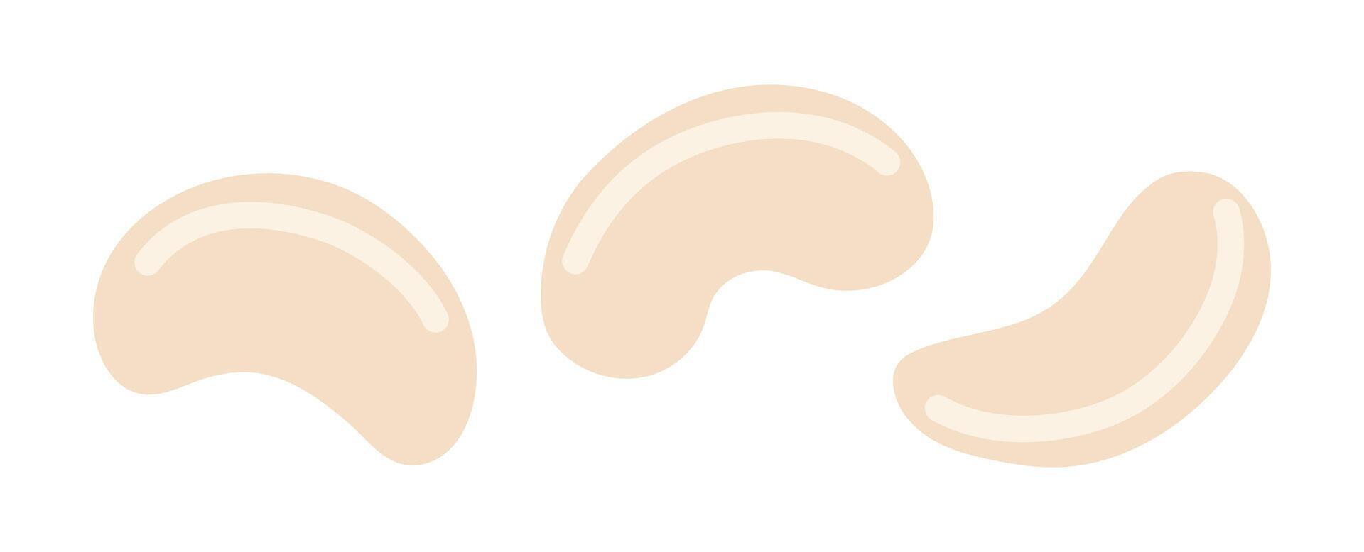 Cashew. Nuts set. Vegan food ingredients. illustration isolated on white background vector