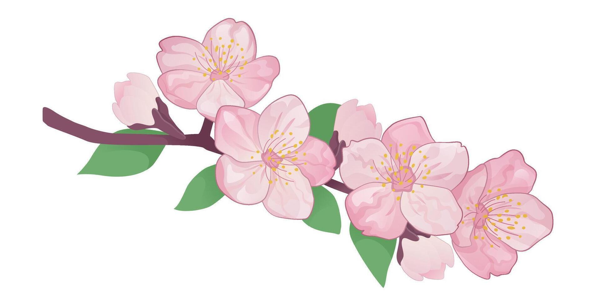 Sakura branch with delicate pink blossoms. Elegant illustration, isolated. Perfect for floral designs, branding, and decorative projects. vector