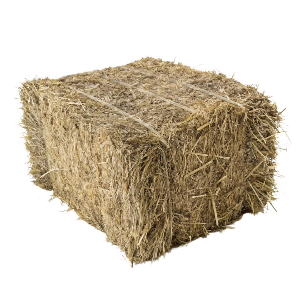 A block of hay neatly bound with twine, presenting a rustic feel and natural texture, often seen in farms or autumn decor png
