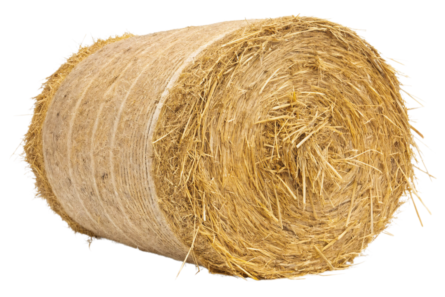 A tightly packed cylindrical hay bale wrapped with durable binding, showcasing straw's natural texture and perfect for farming or rustic decoration png