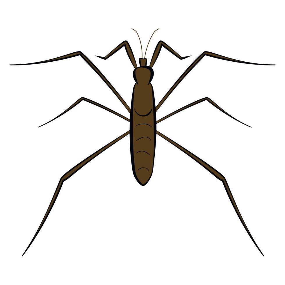 water strider insect icon on white background vector