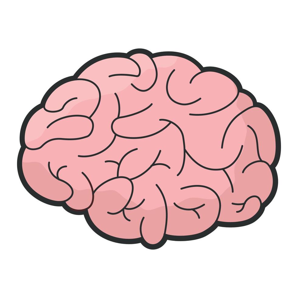 color icon of human brain on white background vector