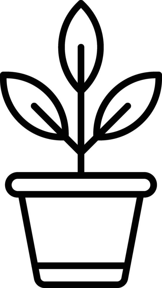 Botanical Line Icon vector