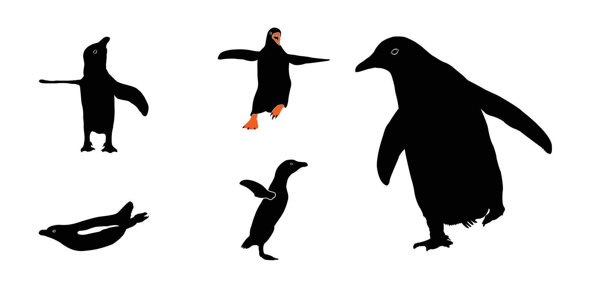 Silhouettes of Diverse Penguins in Action. penguin silhouette, zoo, animal silhouette vector