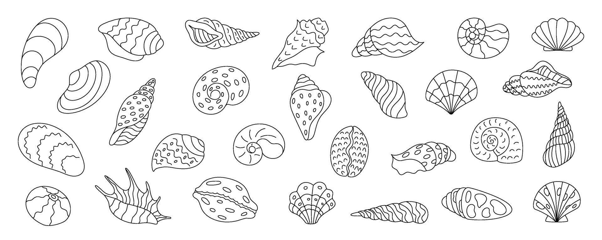Detailed shells, coral, kelp in marine underwater setting. Ocean aquarium life, colorful seashells, isolated cute and vibrant elements. Starfish and clams also included. vector