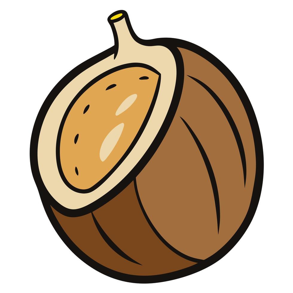 Cartoon illustration of a cracked open brown coconut showing its creamy white interior and delicious meat vector