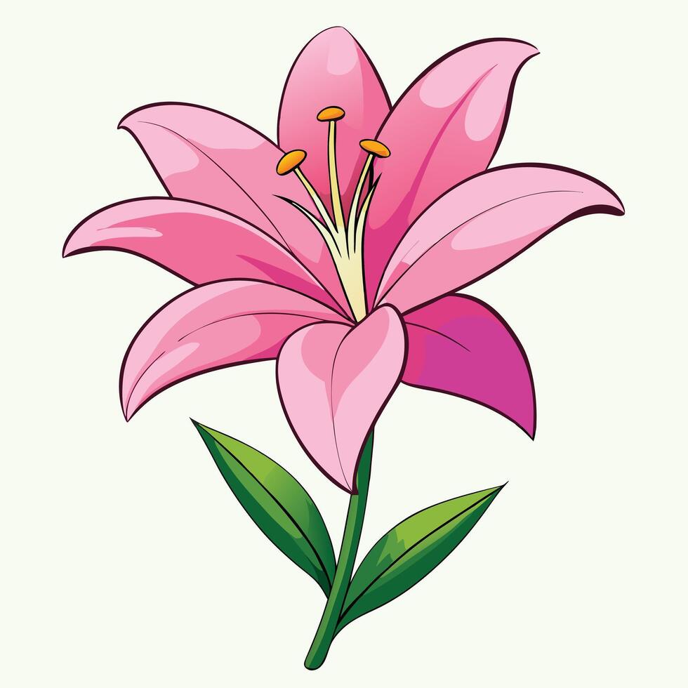A Delicate Pink Lily Flower with Green Leaves Illustration vector