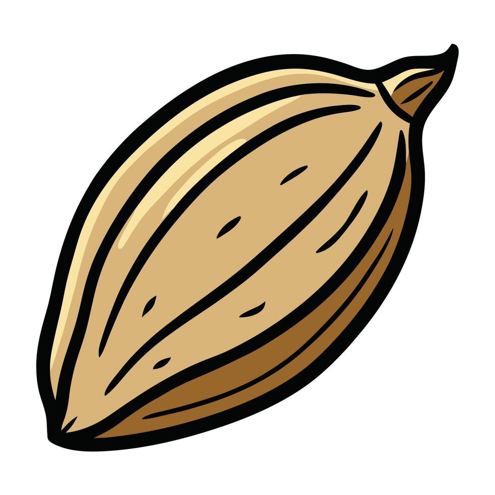 A Single Cocoa Bean Illustration in Cartoon Style Brown and Beige Colors vector