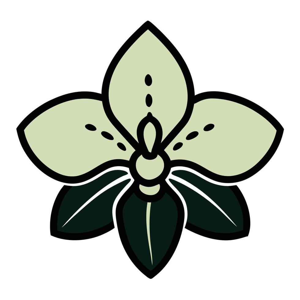 Elegant Green Orchid Flower Botanical Illustration Graphic Design vector
