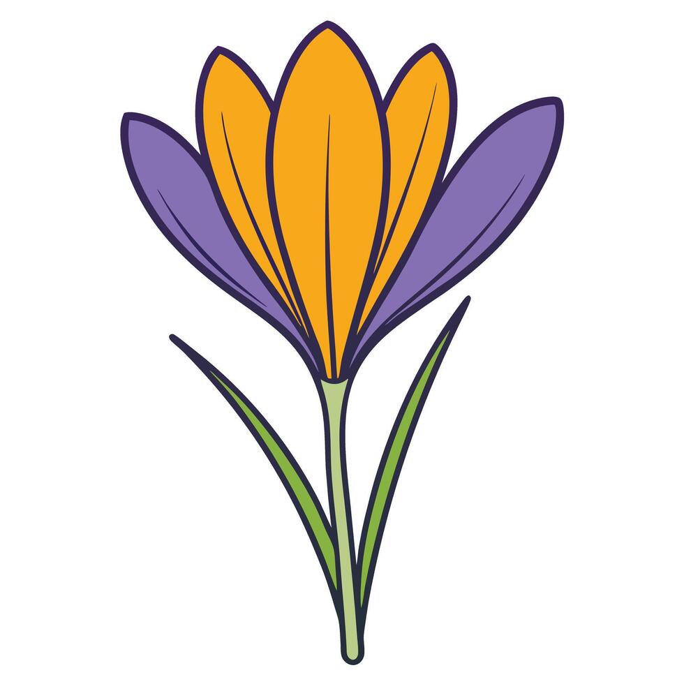 A Vibrant Illustration of a Purple and Orange Crocus Flower with Green Stem and Leaves vector