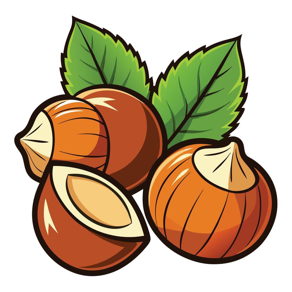 Delicious Hazelnut Illustration with Fresh Green Leaves Showing Whole and Halved Nuts vector