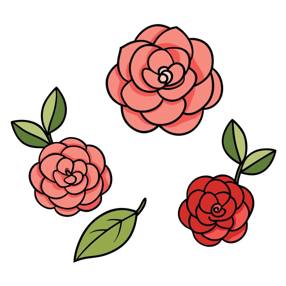 Lovely Collection of Simple Camellia Flowers and Leaves Illustration vector
