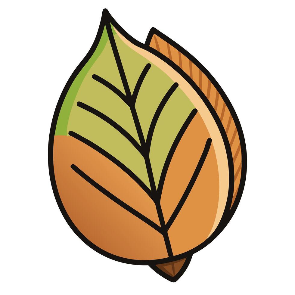 Illustration of a Single Autumn Leaf Changing Colors vector