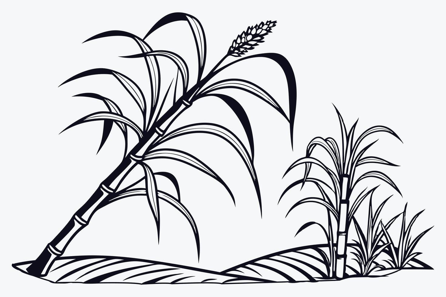 sugarcane The Sweetest Stem black color line art vector