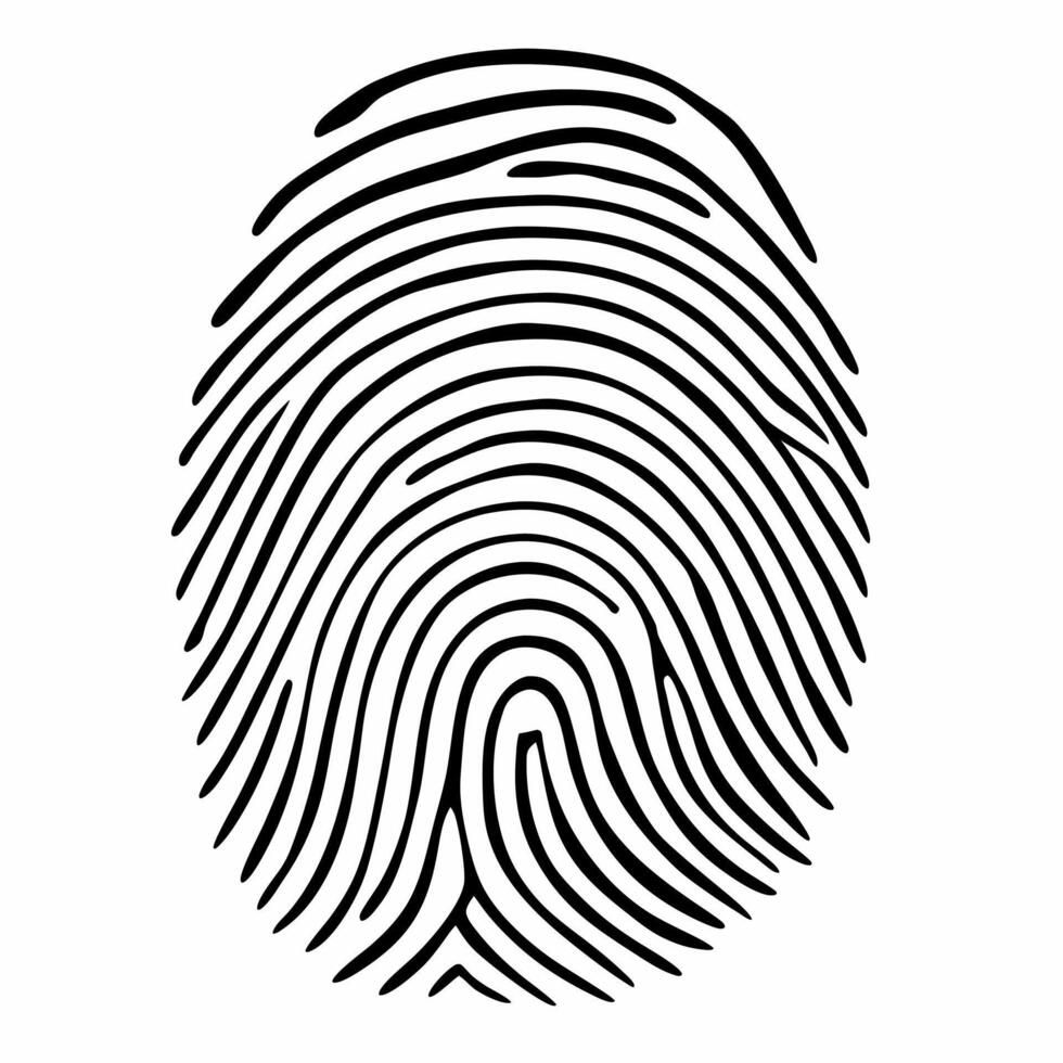 Fingerprint composed of market trend lines concept as of a fingerprint pattern formed by stock market trend lines and charts isolated on white The lines vary in thickness a Square Square vector
