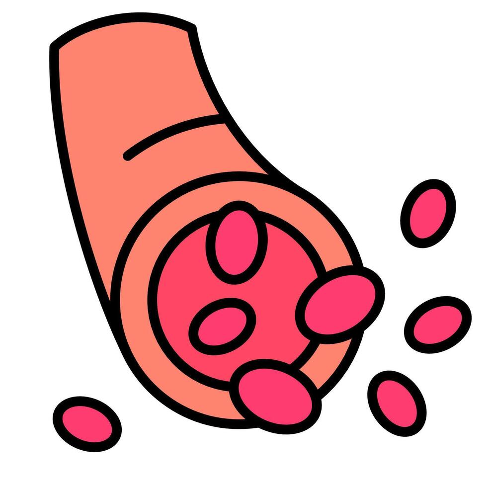 illustration of erythrocytes hypertonic cells vector