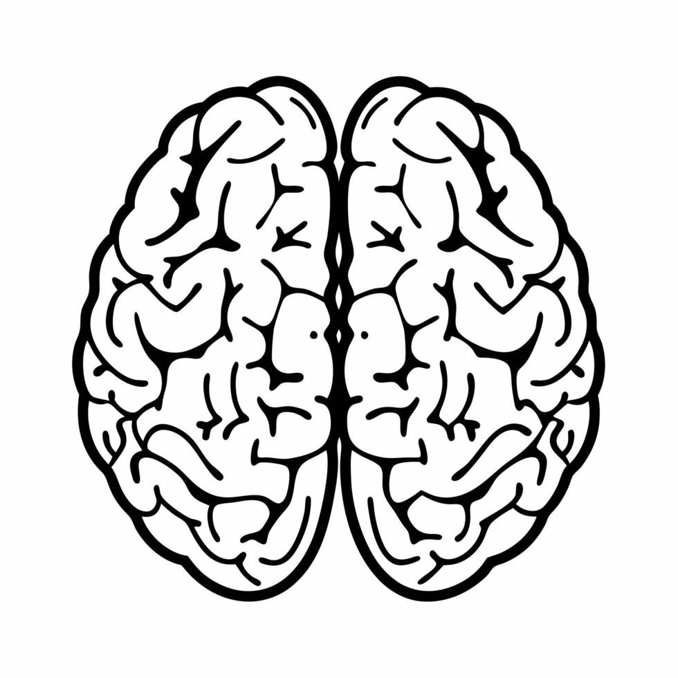Flat Abstract white brain neurons concept as Soft focus abstract representation of white brain neurons on a light background Camera slowly zooms out to reveal the intricate networ Square Square vector