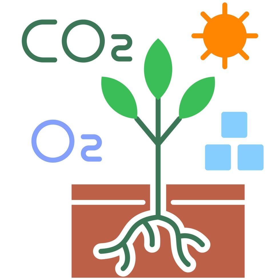 Autotroph processes illustration vector