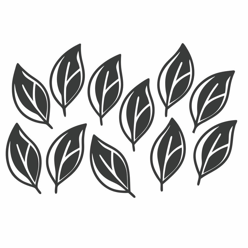 Flat Glossy Leaves with Copy Space concept as Glossy green leaves arranged on a plain white background with significant copy space to the right The camera captures a straight on s Square Square vector