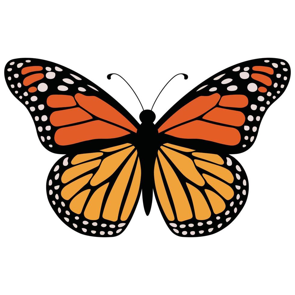 Minimalist Monarch Butterfly Illustration. vector