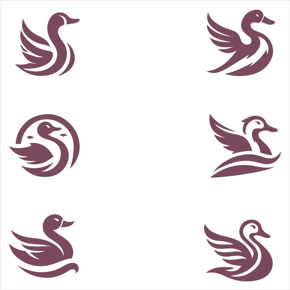Splash Quack collection logo vector