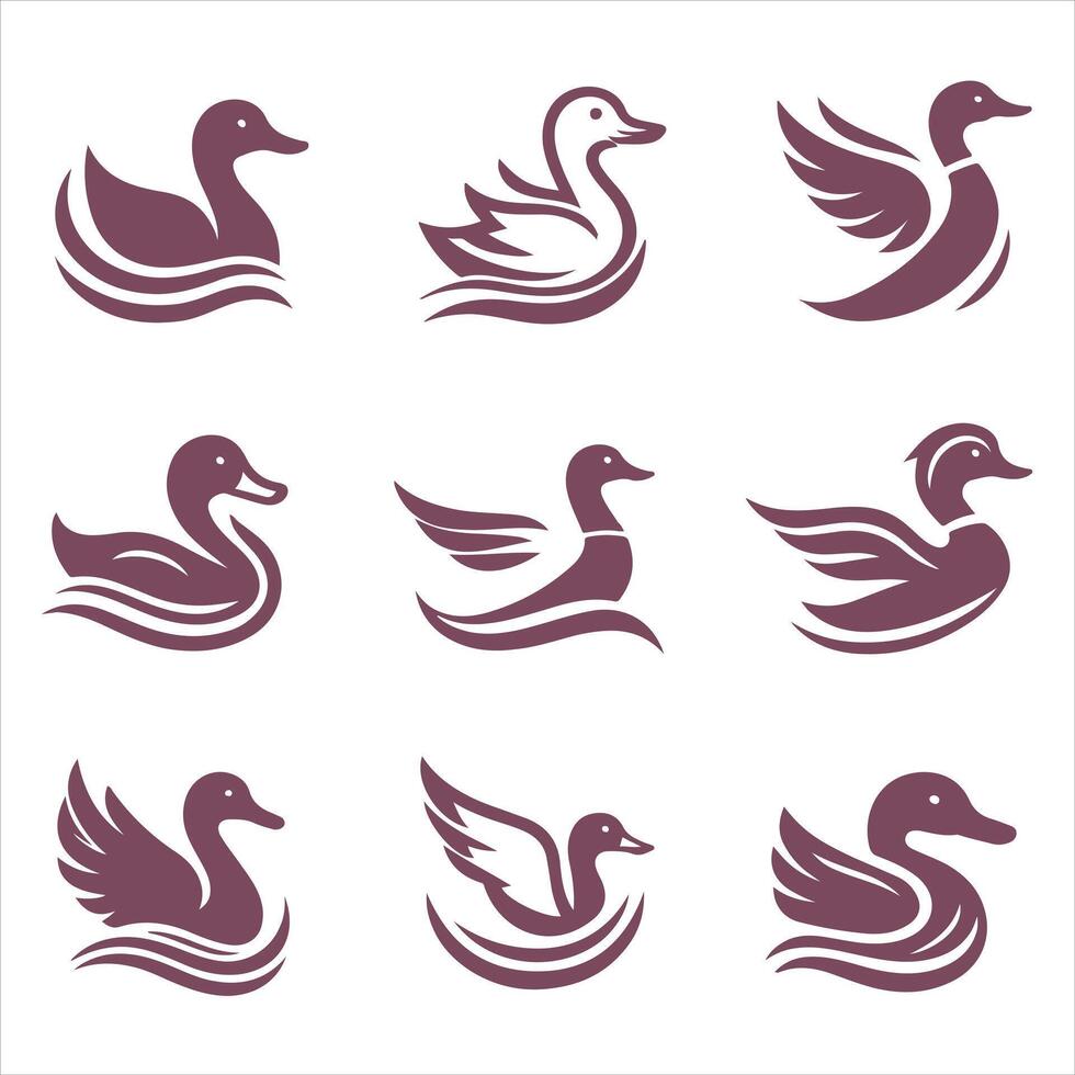 Ducky Designs collection logo design vector