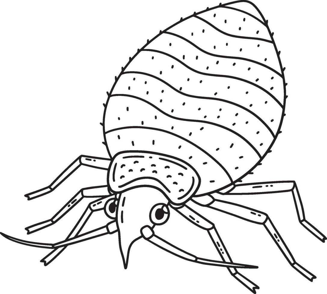 Insect Bed Bug Animal Isolated Coloring Page vector