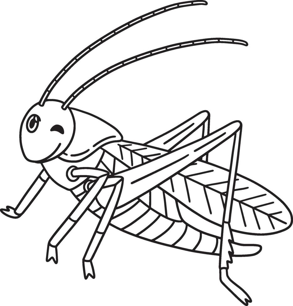 Insect Crickets Animal Isolated Coloring Page vector