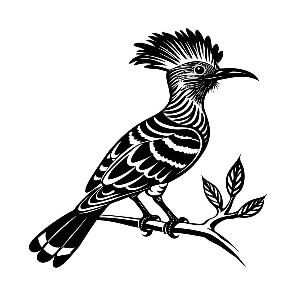 Hoopoe black and white silhouette vector