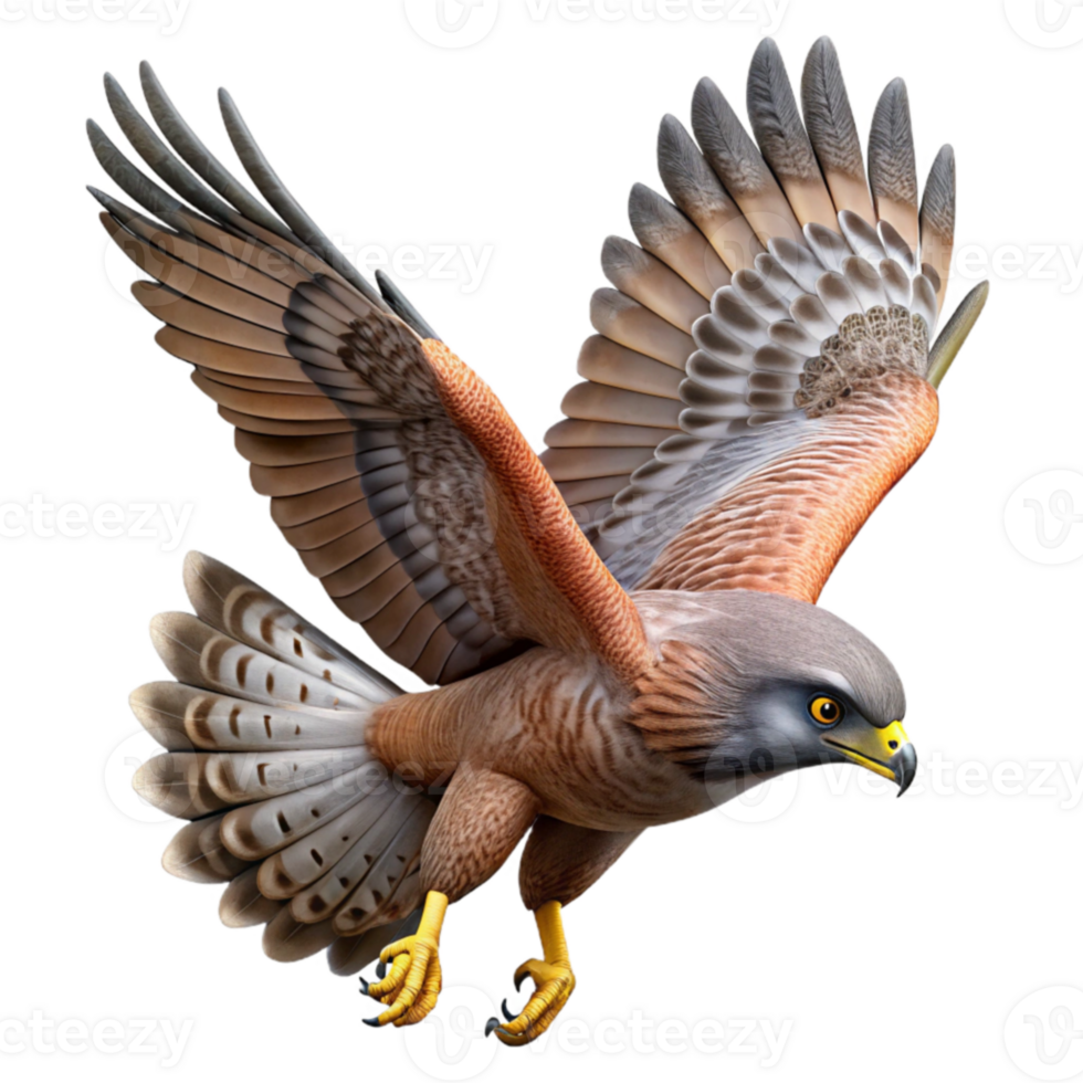 wonderful traditional Majestic Hawk 3D Illustration premium png