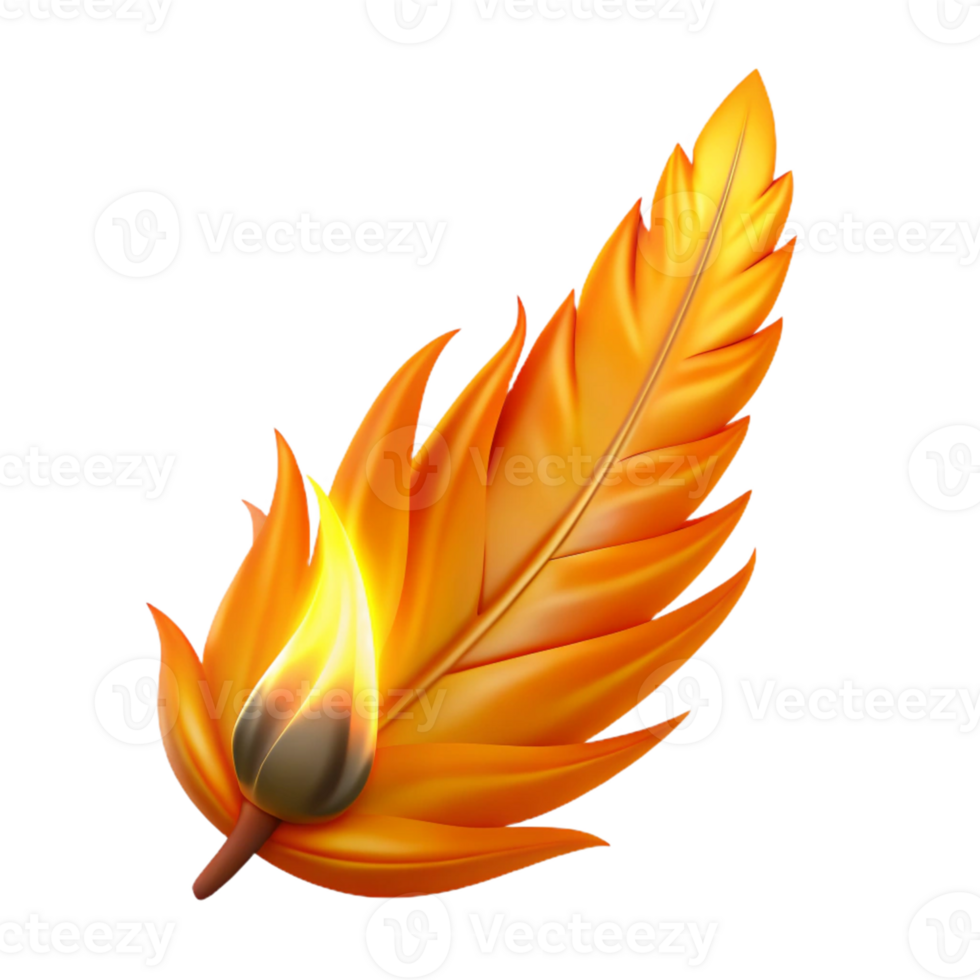 beautiful traditional Fiery Feather Illustration authentic png