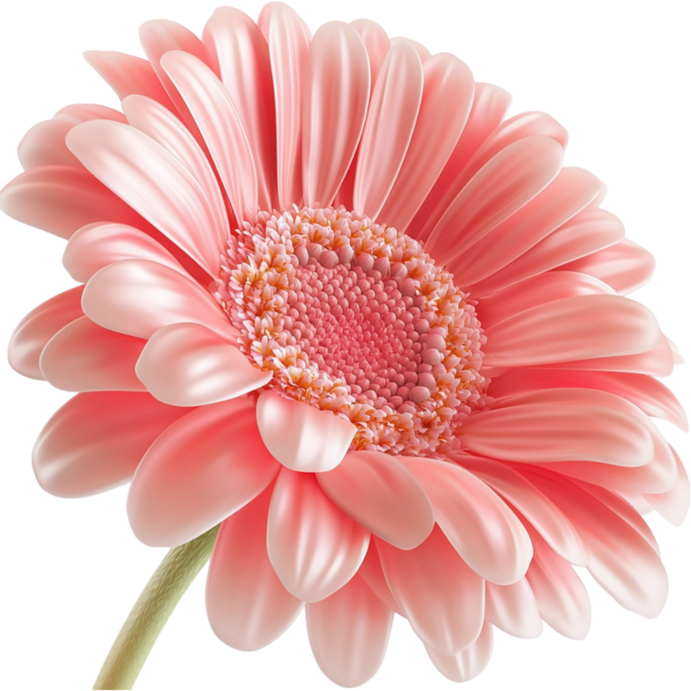 Pink flower symbolizing delicate beauty blooming elegance and natural charm png