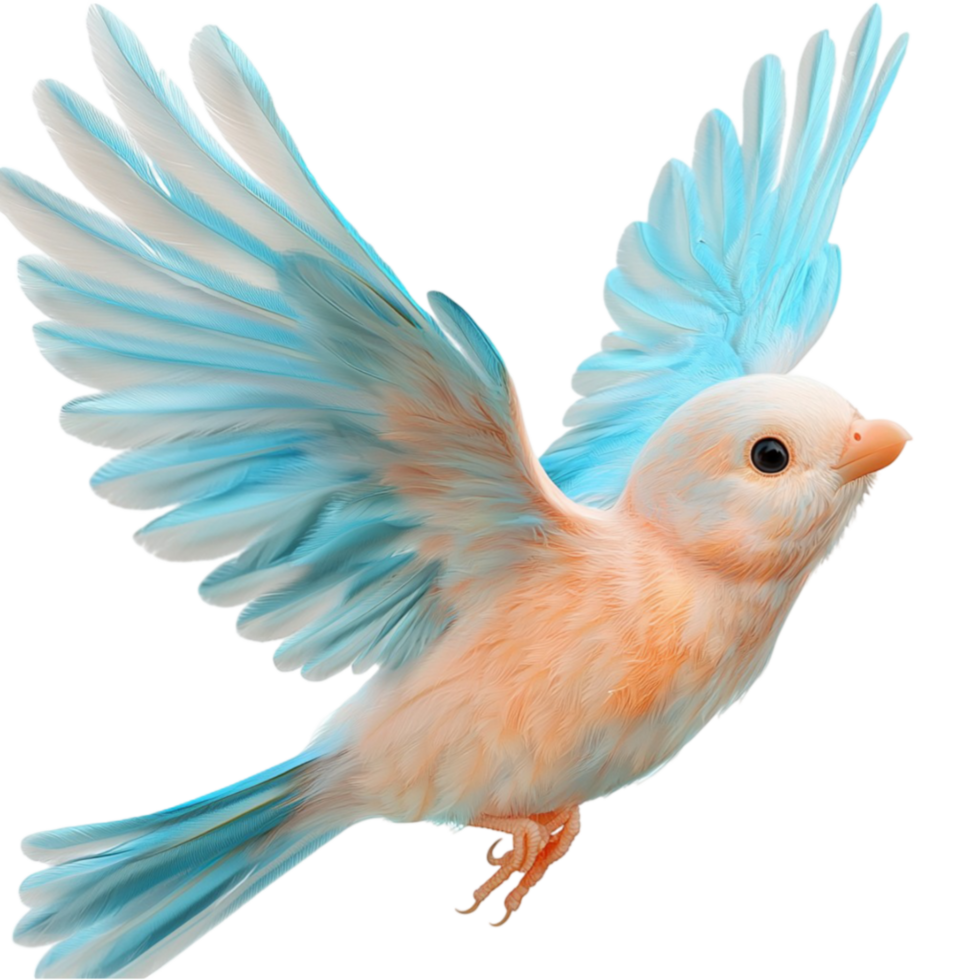 Beautiful blue bird with vibrant feathers soaring gracefully with wings fully spread png