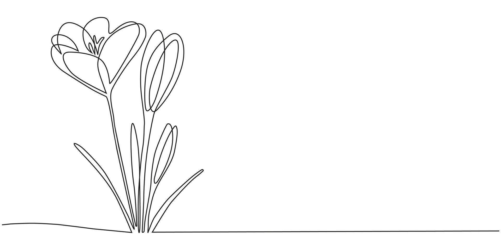 Spring crocus flower in continuous line art drawing style. Minimalist black linear sketch isolated on white background. Illustration, spring flower in continuous line art drawing style. vector