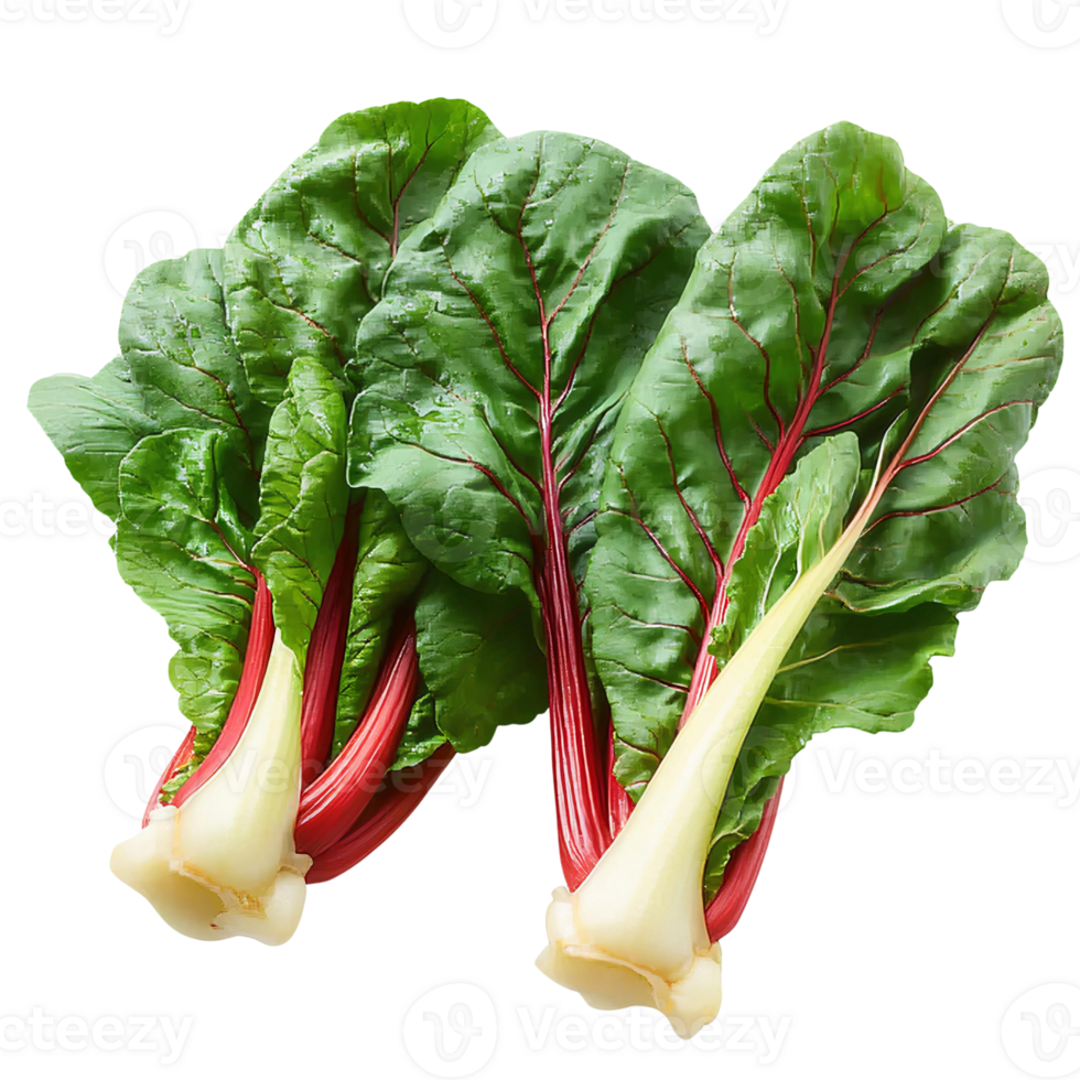 Red chard stalks and leaves on Transparent Background png