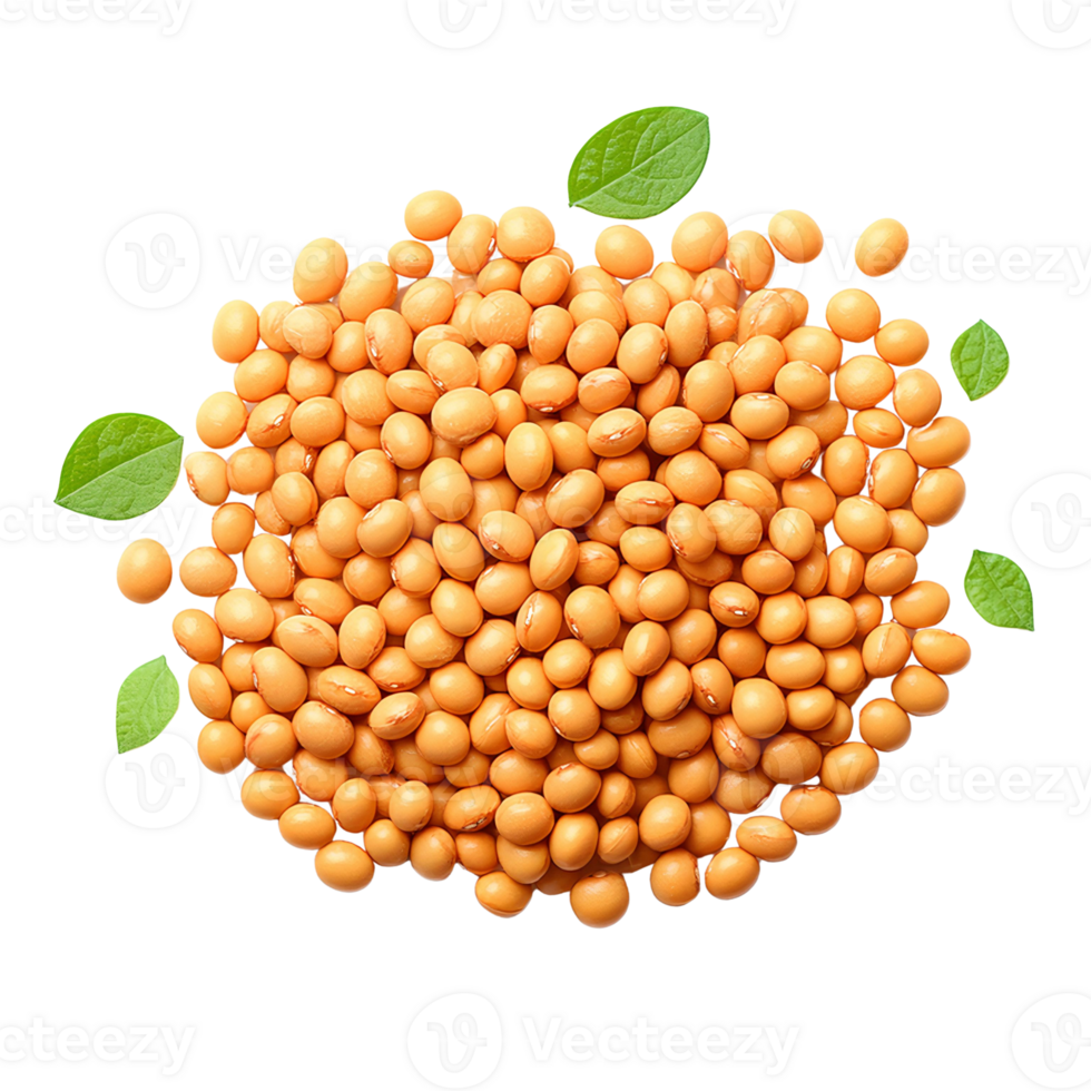 Soybeans pile with green leaves on transparent background png